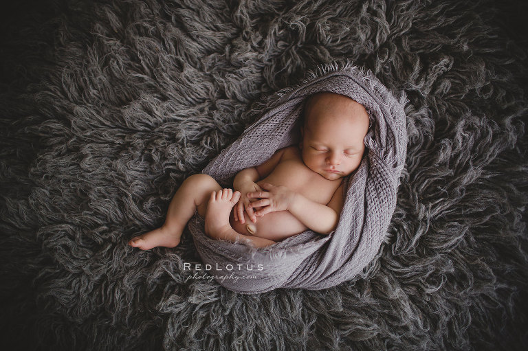 Beautiful newborn baby photography, grey wrap on a grey fur flokati
