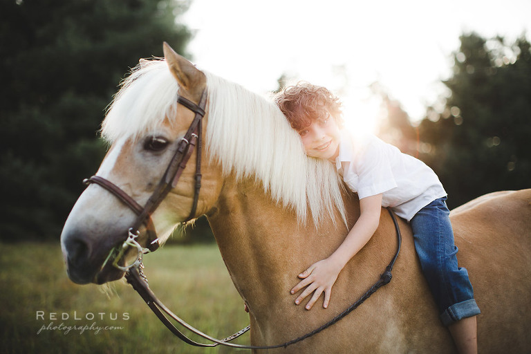 boy on horse sunset family photos