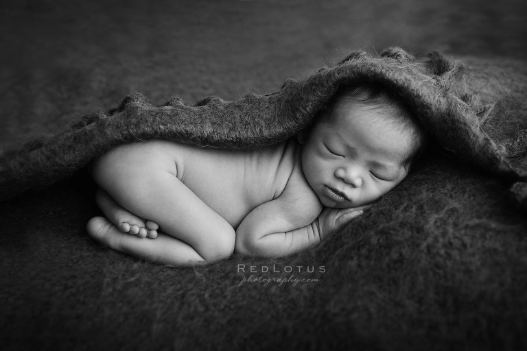 newborn baby cozy under a blanket