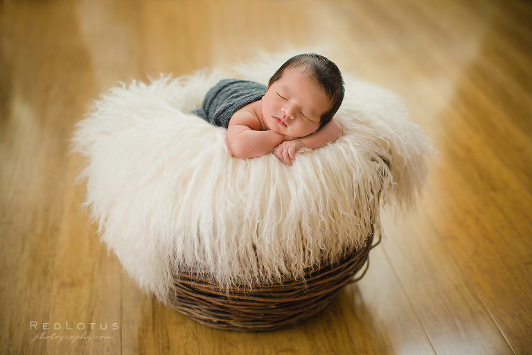 newborn photography baby in basket with fur