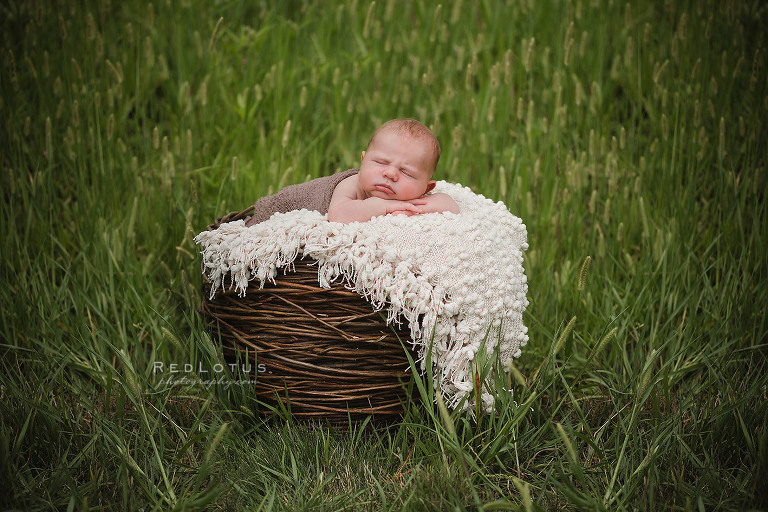 newborn photography baby in a basket outdoors in grass