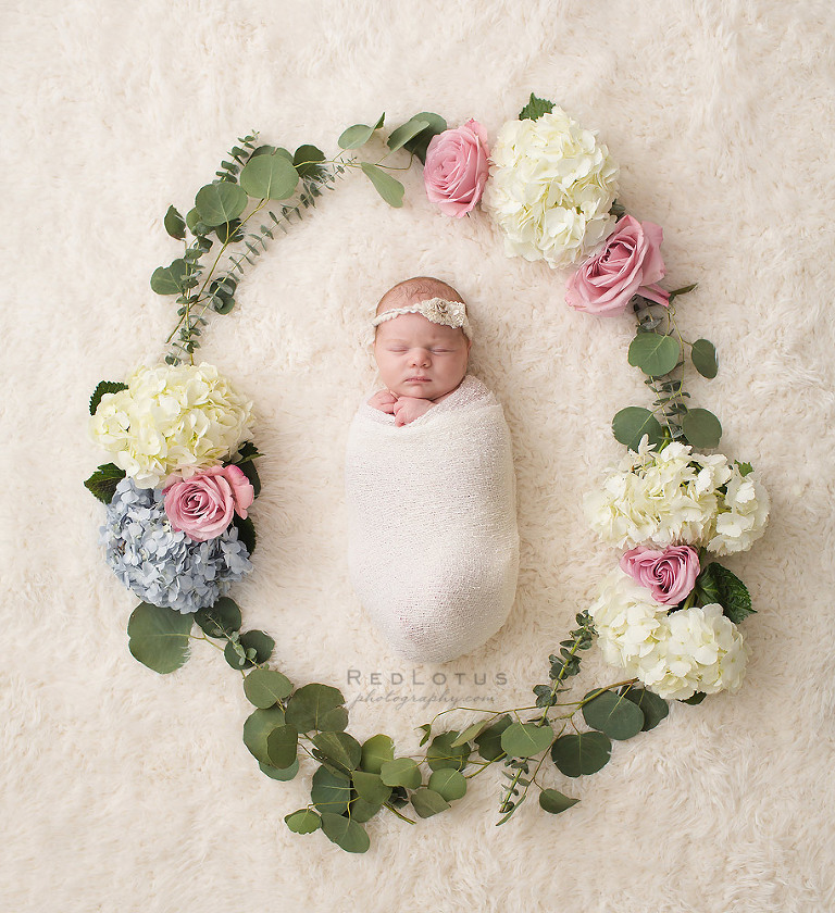 nebworn photos with flowers simple elegant natural baby photography