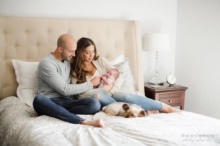 lifestyle newborn session at home