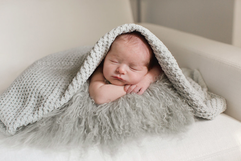 newborn baby pose covered with blanket