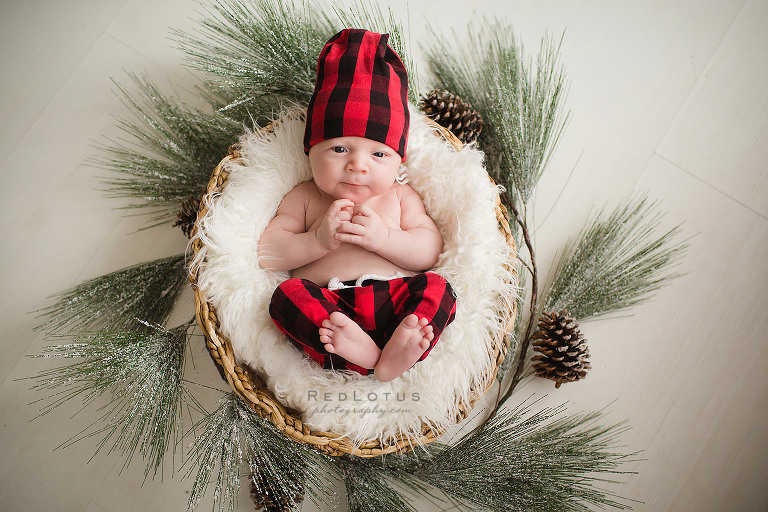 newborn photos Christmas winter baby in basket with pine branches red plaid hat pants