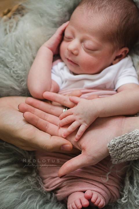 newborn photographer Pittsburgh baby and parents hands
