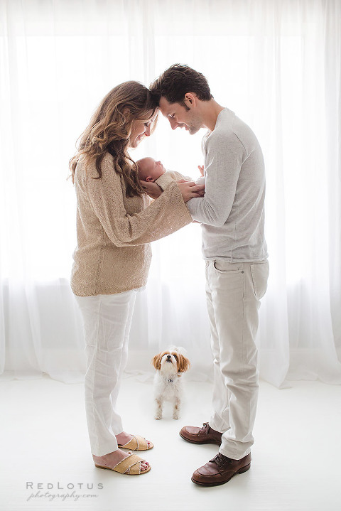 newborn photography pets allowed parents baby dog looking up