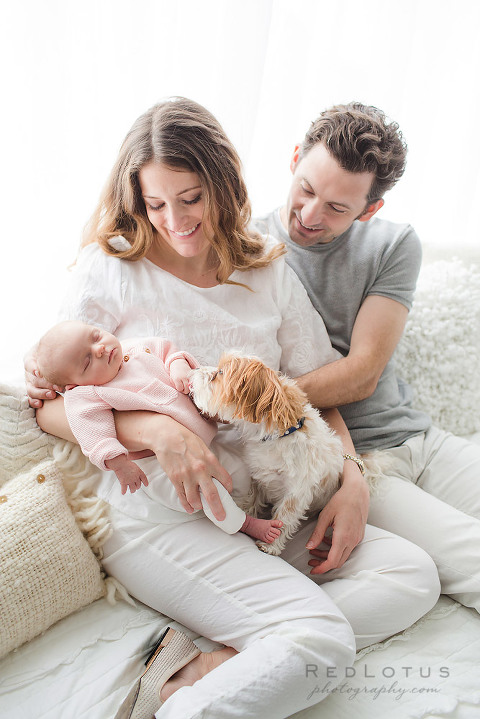 newborn photography Pittsburgh dogs pets light and airy photography studio