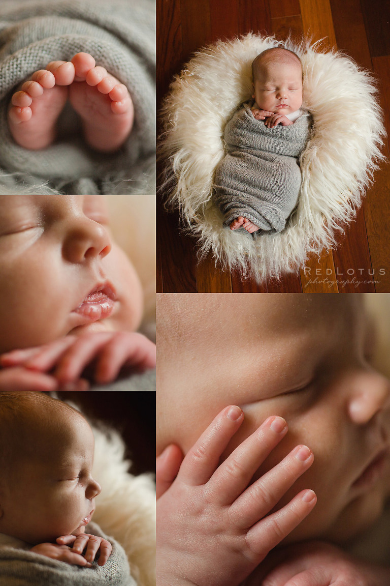 beautiful newborn photography natural with detail shots