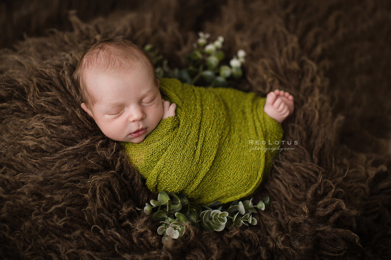 newborn photography nature greenery foliage rustic woodsy brown and green