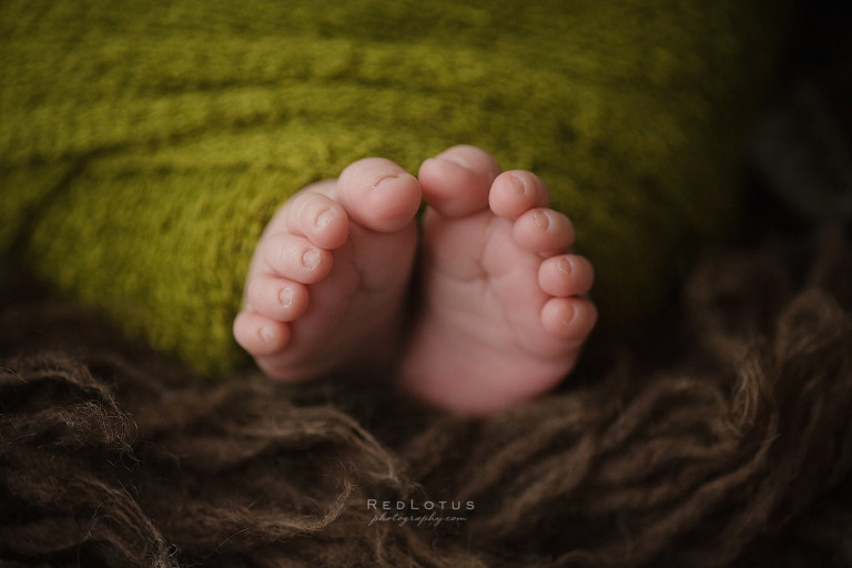 newborn photography baby feet
