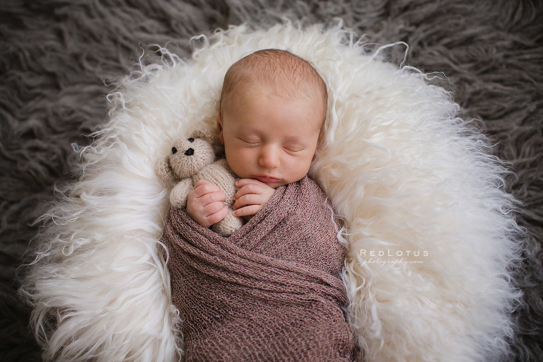 newborn photography baby boy in a basket with teddy bear