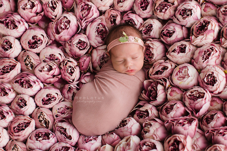 newborn baby on a bed of flowers peonies flower blanket prop