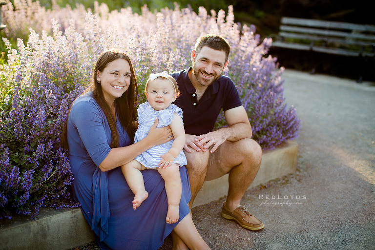 young family photos sunset purple flowers one year old with parents