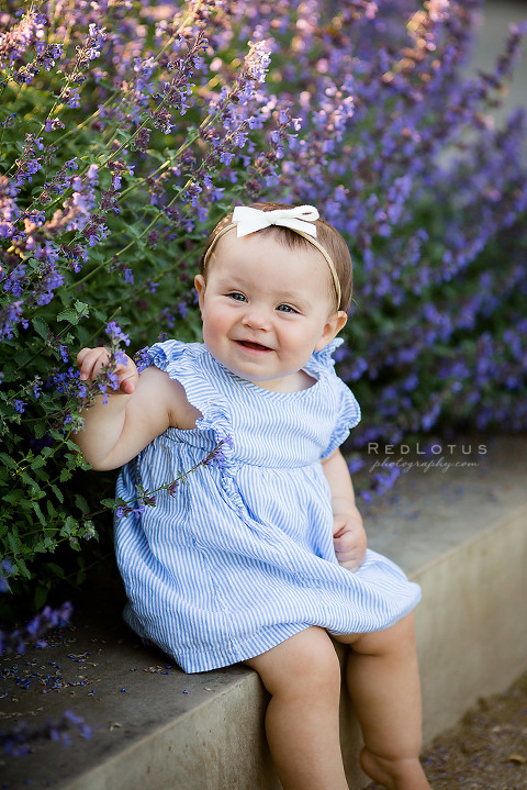 one year old toddler baby girl smiling outdoor photos purple flowers