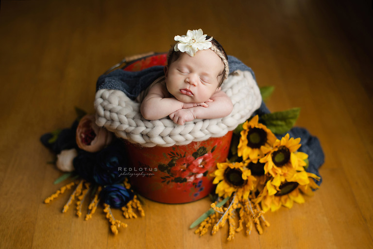 newborn photographer Pittsburgh baby in bucket with flowers