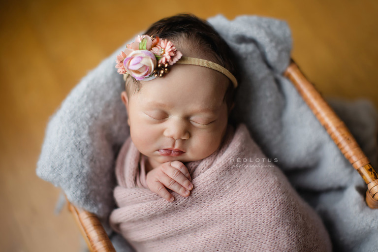 newborn photographer Pittsburgh baby girl in a basket pink and grey