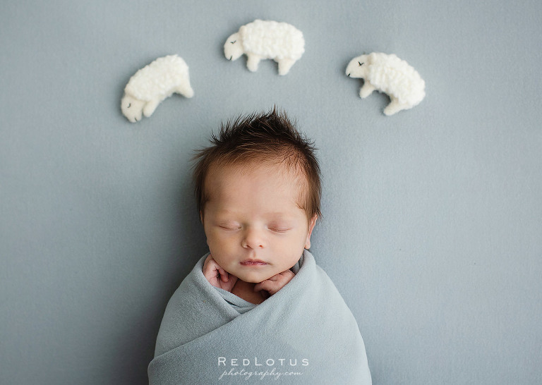 newborn baby counting sheep sleeping