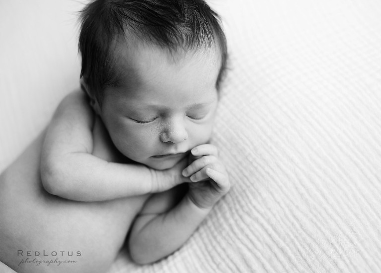 black and white newborn photography