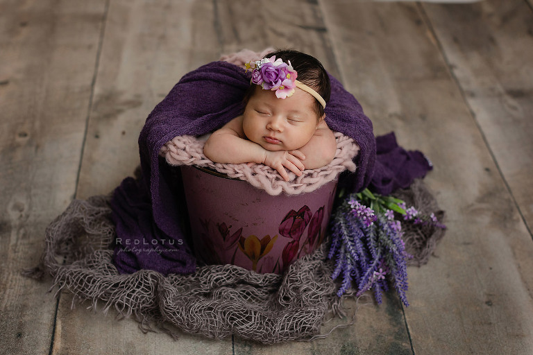 newborn baby girl in bucket prop with purple flowers