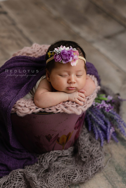 newborn baby girl in bucket prop with flowers