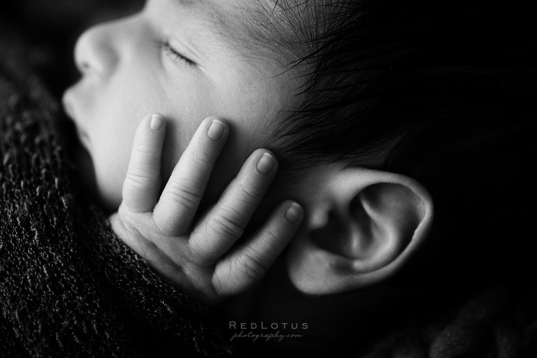 black and white newborn photography close up baby hand