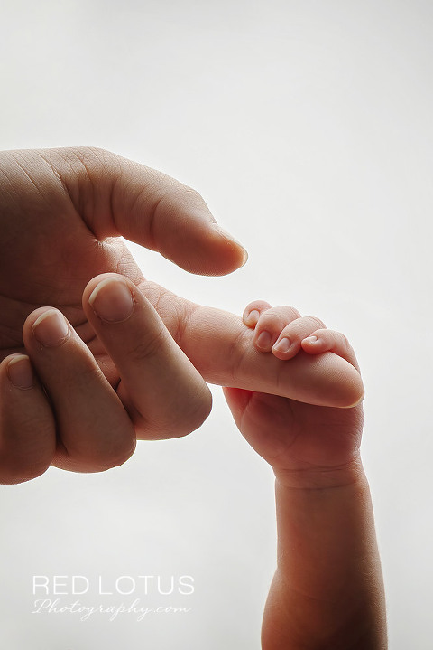newborn baby hand holding onto parent's hand
