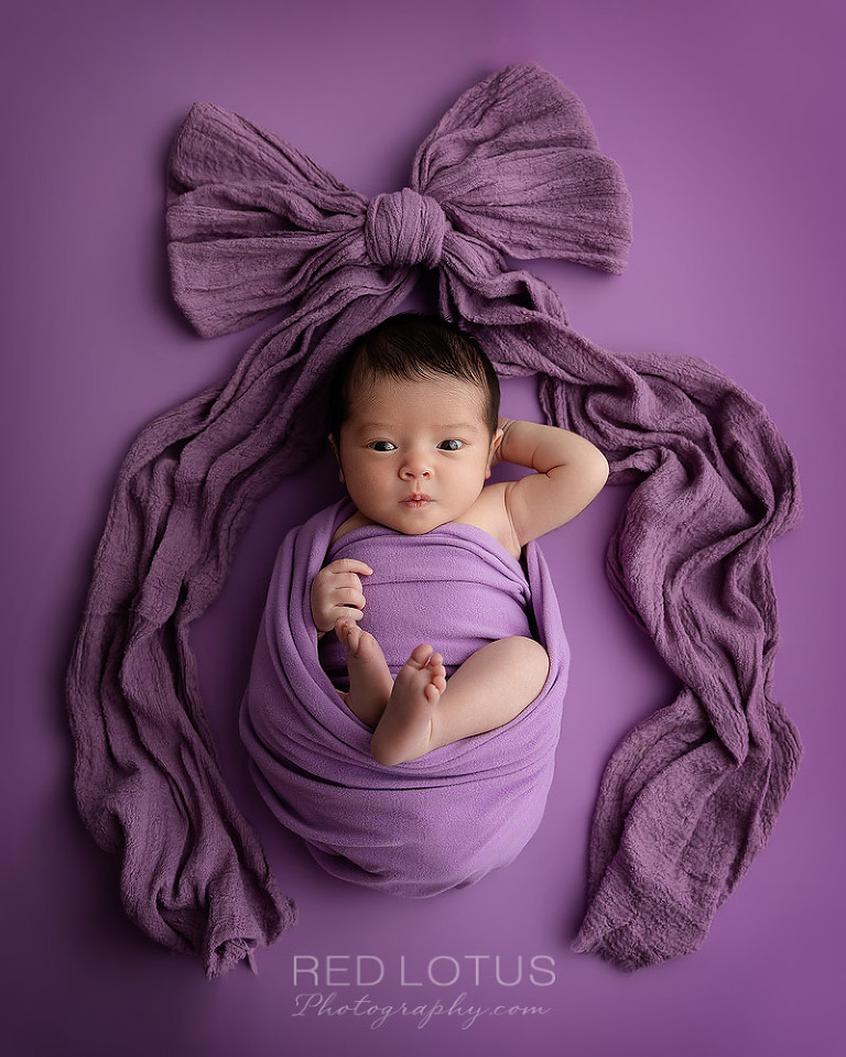 newborn baby girl posed on a purple blanket framed by a big purple bow