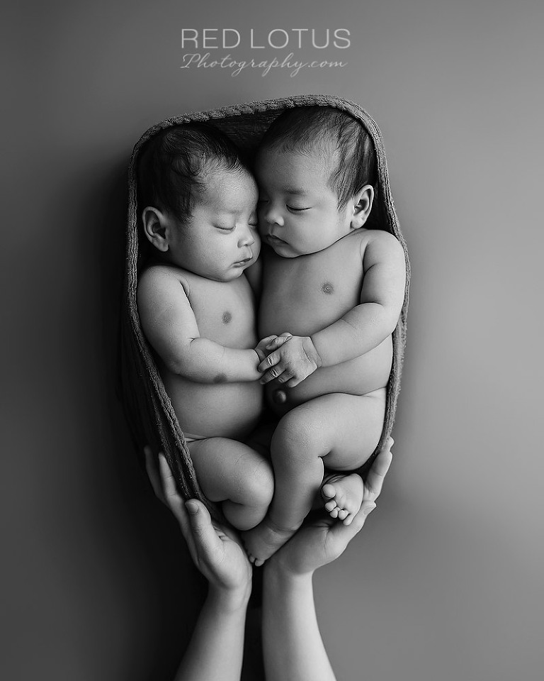 newborn baby fraternal twin girls posed together with mother's hands on a simple backdrop in black and white photography 