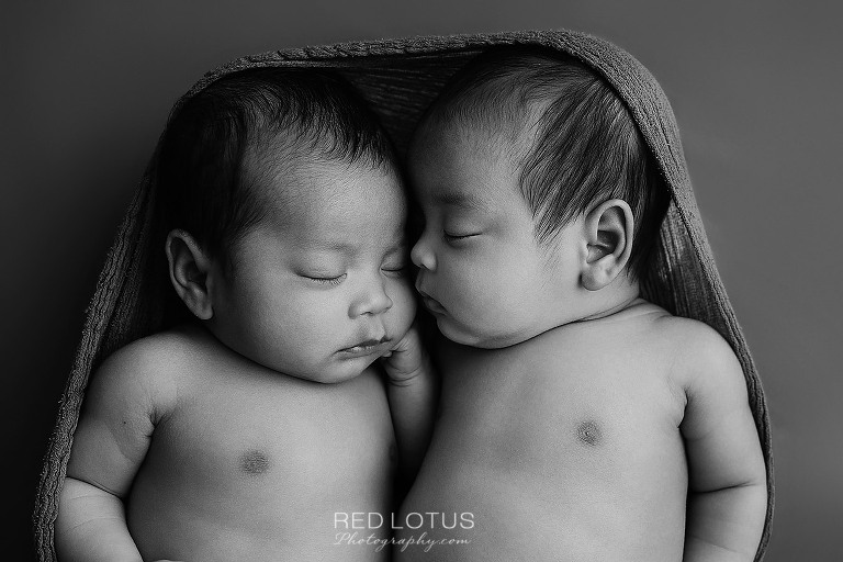 newborn baby fraternal twin girls posed together on a simple backdrop in black and white photography