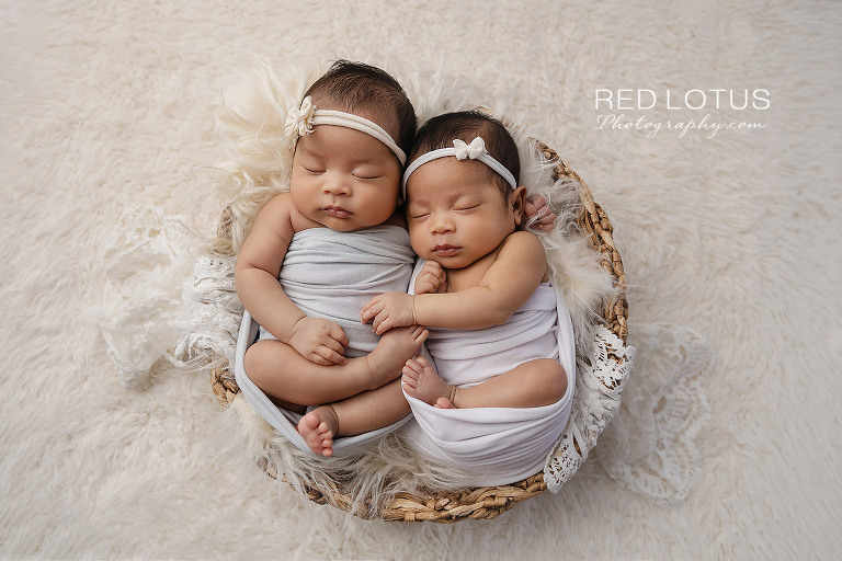 newborn baby fraternal twin girls cuddled together in a basket