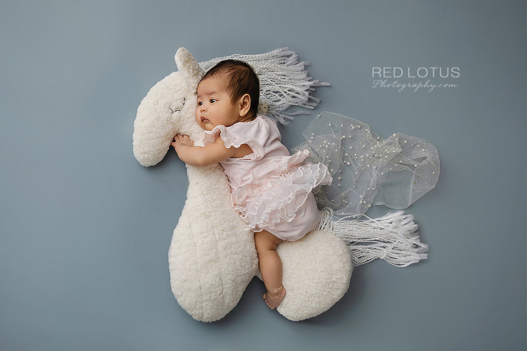 newborn baby girl posed on a plush pony