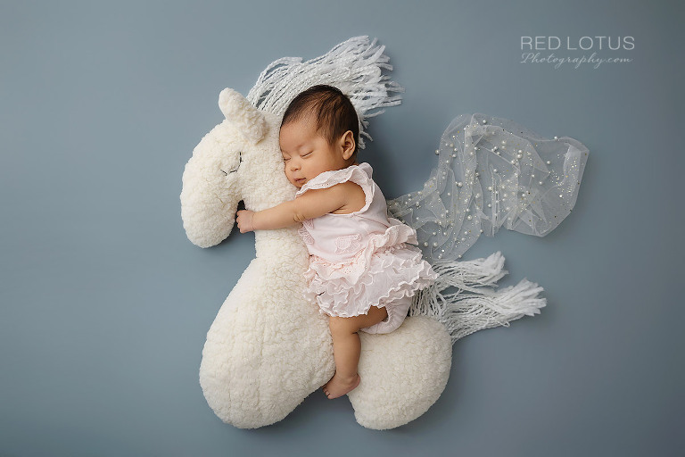 newborn baby girl posed on a plush pony